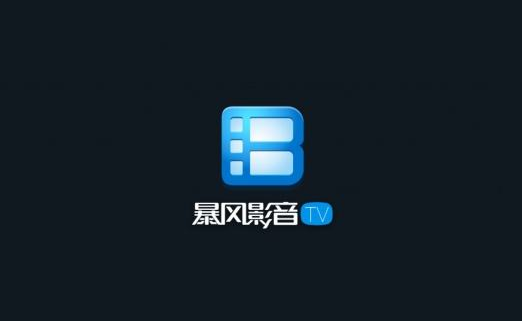暴风影音版本,全面解析数据执行&amp;L版_v8.529