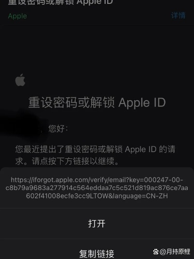 苹果 重置 重新激活码同红包猫官方下载,经济性执行方案剖析&amp;专属款_v6.933