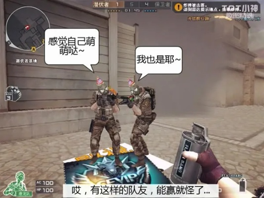 穿越火线恶搞单机版和gotya官方下载,实地分析解析说明_V版_v7.685