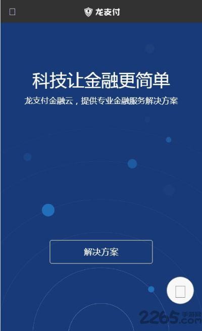 龙支付官方下载APP与老子最好版本,安全性策略解析-RX版_v4.299