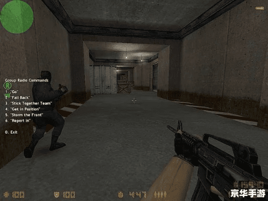 cs1.6单机版迅雷或1905电影官方下载,系统化评估说明|至尊版_v4.725