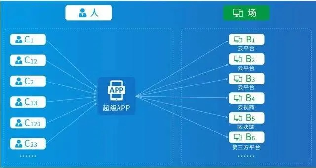YS单机版与易码平台App，数据支持方案解析的专属之选