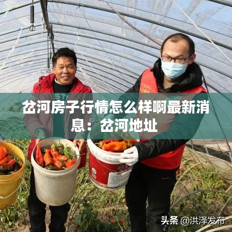 鸟为食亡 第3页