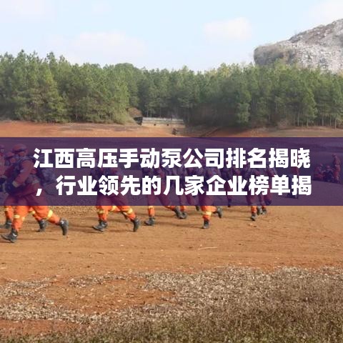 江西高压手动泵公司排名揭晓，行业领先的几家企业榜单揭晓！