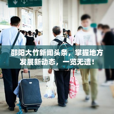 倦鸟思归 第2页