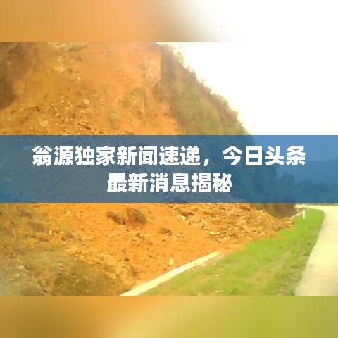 鸷鸟不群 第2页
