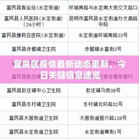 宜良区疫情最新动态更新，今日关键信息速览