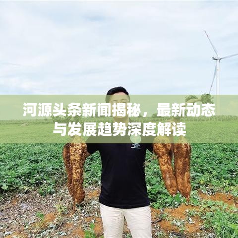 河源头条新闻揭秘，最新动态与发展趋势深度解读