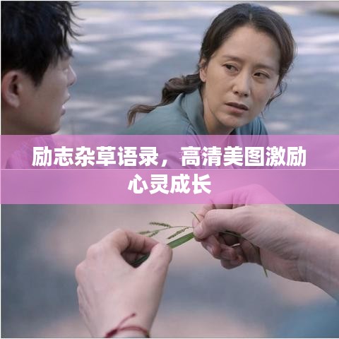 励志杂草语录，高清美图激励心灵成长