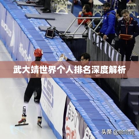 鸷鸟不群