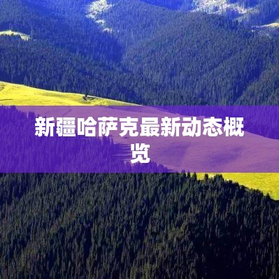 新疆哈萨克最新动态概览
