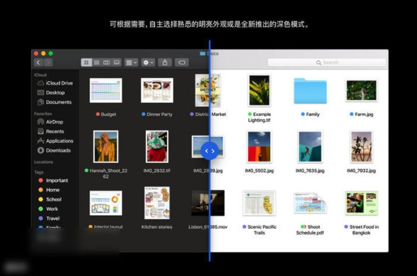 99会议官方下载,专业研究解析说明 macOS_v6.225