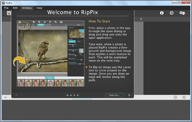 tipix官方下载,精准解答解释定义-Windows_v8.490