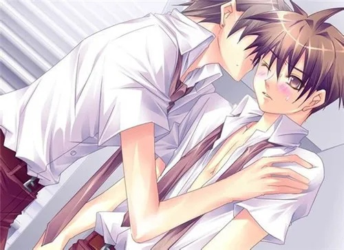 耽美养成手游同美版全新未激活码,系统分析解释定义_优选版_v6.372