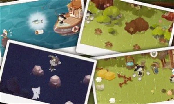 冷门宝藏软件推荐，发现数字世界的隐藏宝藏